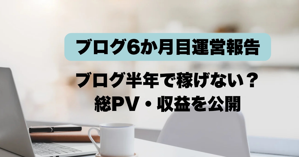 【ブログ運営6か月目】 ブログ半年では稼げない？PV・収益を全公開！